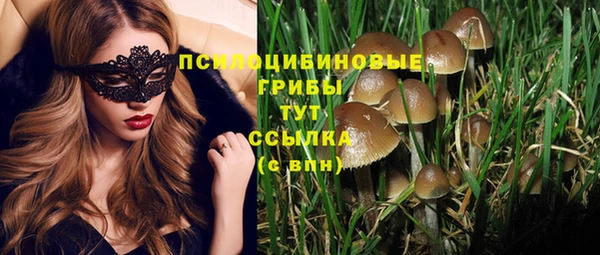 кокс Алзамай