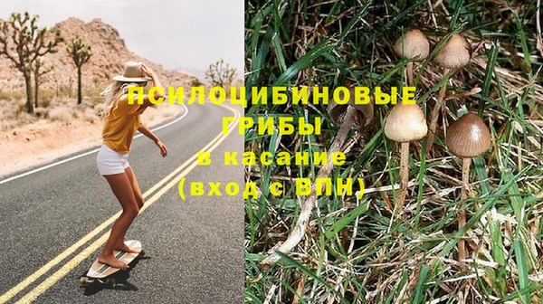 а пвп мука Алексеевка