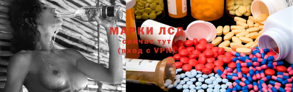кокс Алзамай