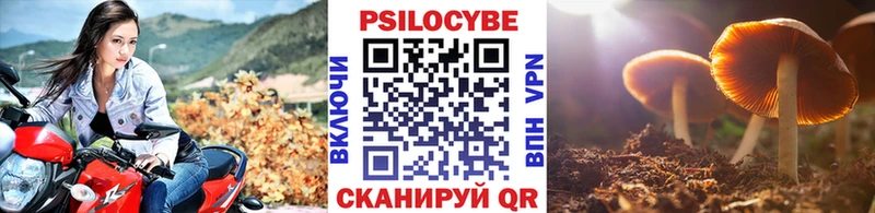 Галлюциногенные грибы мухоморы  Елабуга 