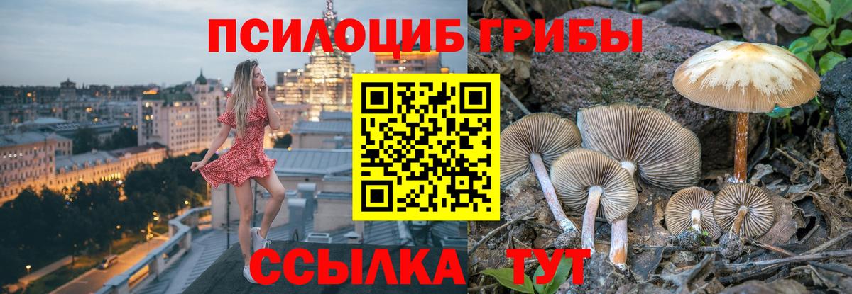 Елабуга  Псилоцибиновые грибы прущие грибы  Вход с VPN  цена   Псилоцибиновые грибы ЛСД 