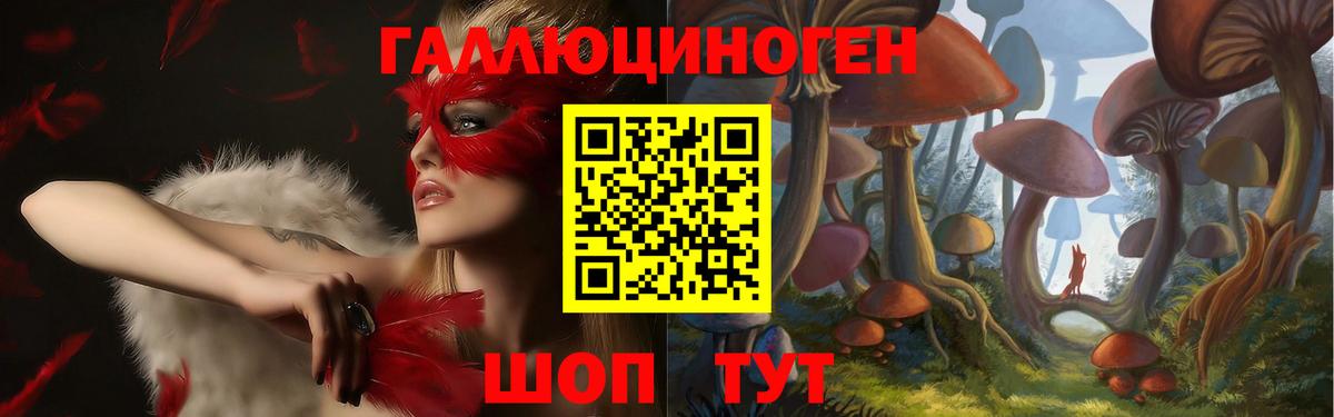 Псилоцибиновые грибы мицелий Елабуга
